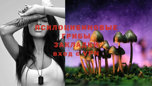 хмурый Протвино